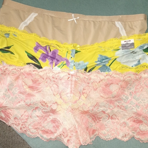 Cacique Other - Panties Cacique 26/28 4X Cheeky Set of 3 Lace Sheer Mesh Sexy Panty Lane Bryant